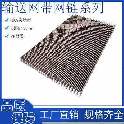 4809网带突肋型节距57.15mm网带链PP镂空塑料输送模块组POM传动带