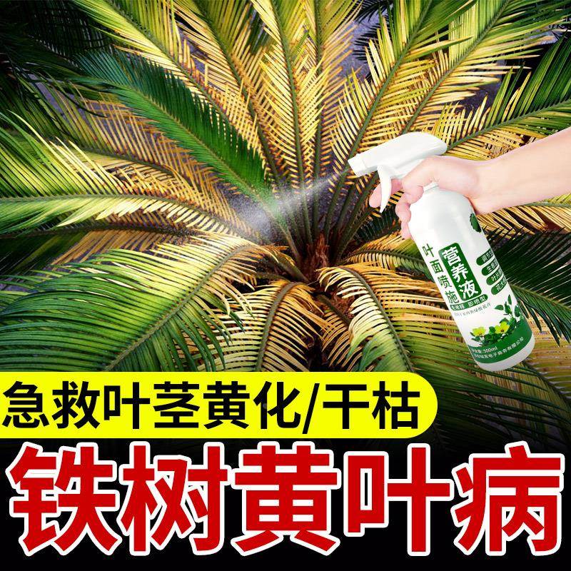 铁树专用肥料营养液绿植苏铁叶子发黄一喷绿室内户外通用型生根液