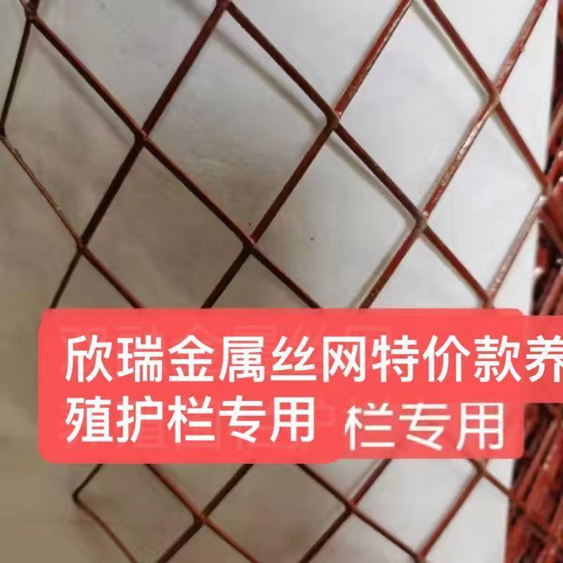 防锈菱形铁丝网养殖家禽