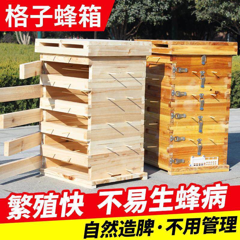 中蜂格子箱五层蜜加厚全