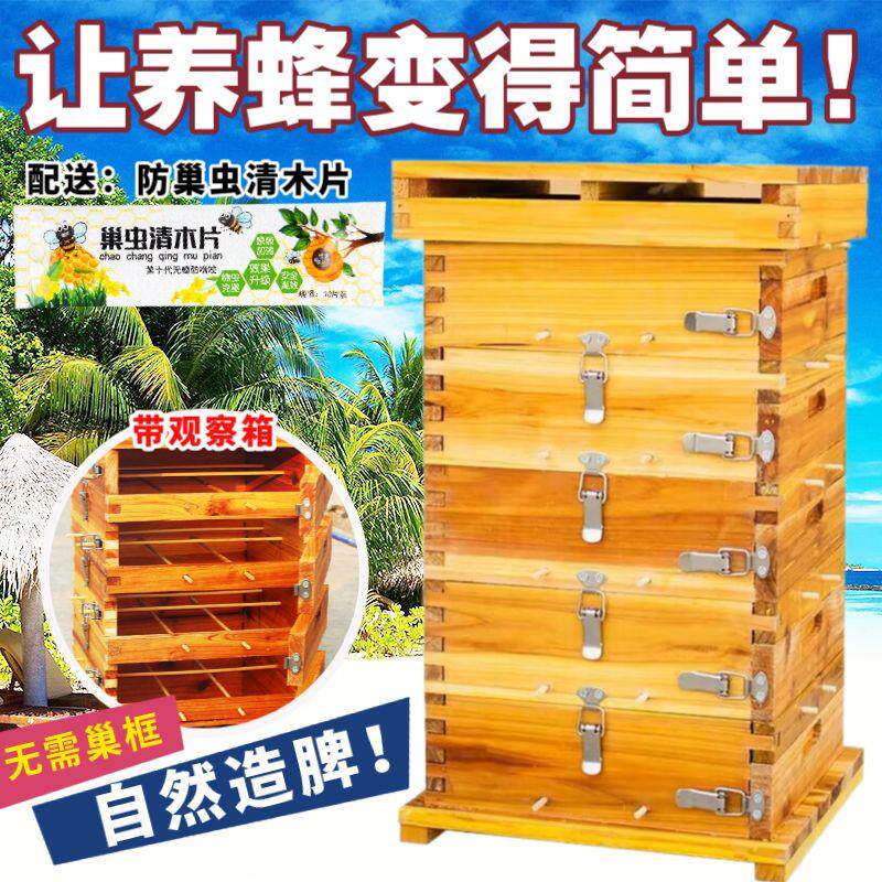 中蜂格子箱五层蜜加厚全