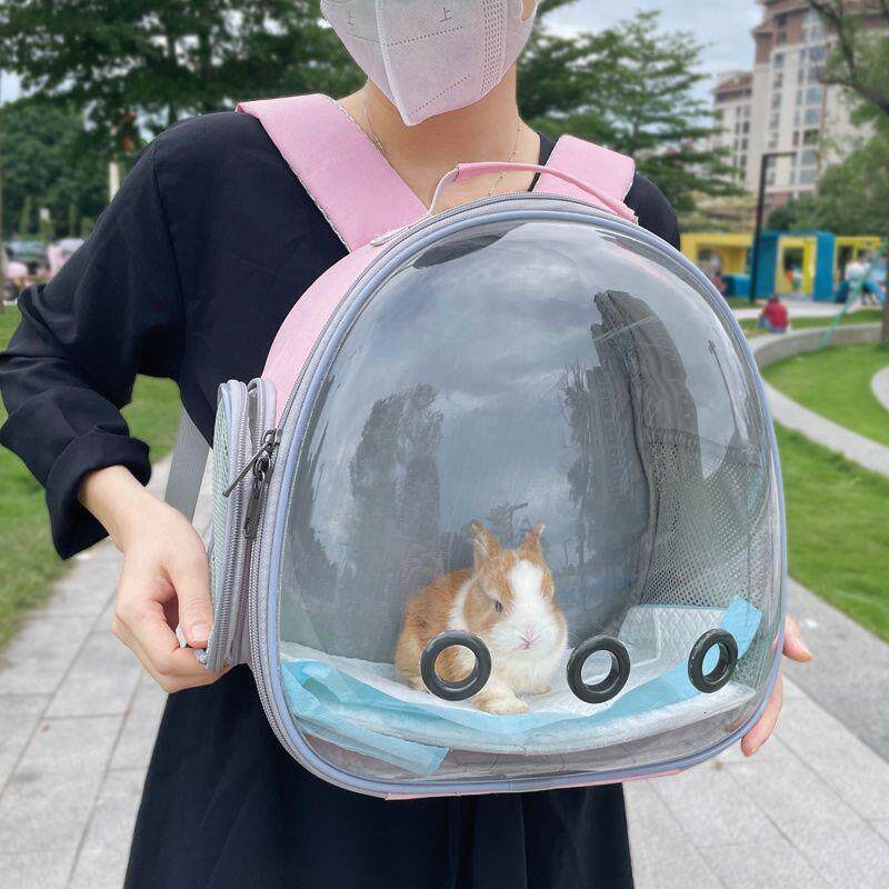 宠物外出便携包装幼猫兔