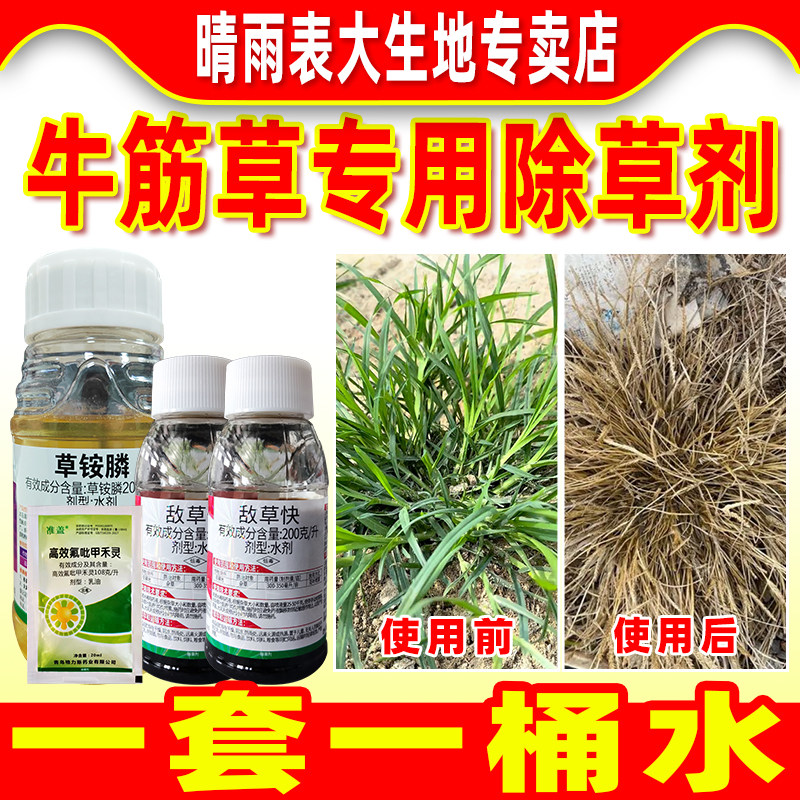 牛筋草除草烂根剂专用药套装正品