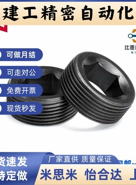 通孔型内六角螺塞MSWA8/10/12/14/16/18/20/24/26/28/30