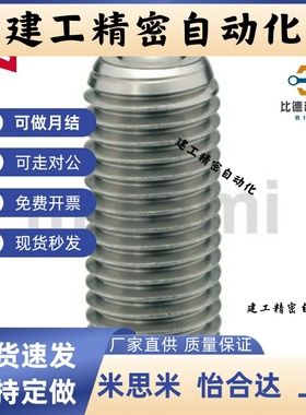 钢珠滚轮 BCHL BCHN BCSB BCHPT5 6 8 10 12 16 19 20 24 25 31