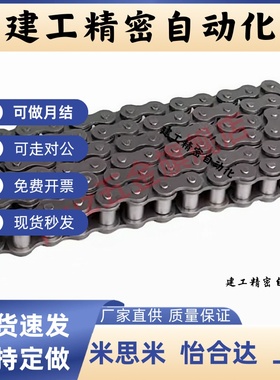 链条VMB/VMC/VMD/VMF/VMG/VMK/VML/VMN01-25/35/40/50/60/80/100