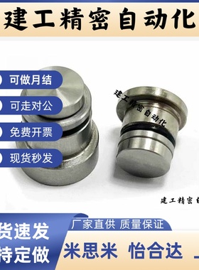 LLT3.5 1.4 1.8 5直线导轨定位销 偏心销 ICE11-T3.5