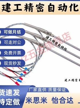 SSM1/1.6/2.3/3.2/4.8-50/100/150/200/250/300 热电偶 -标准K型