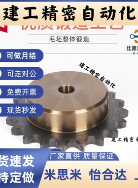 SP40B17/18-N-14/15/16/17/18/19/20/22/24/25/28/30/32/35 链轮