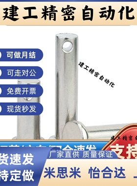 铰链销 SHCMG SHCLGN SHCLGHN3 4 5 6 8 10 12-10 20 25 30 40 50