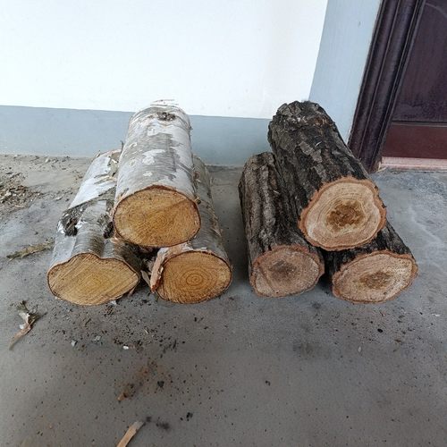 柴火木柴干木柴柴火灶户外露营篝火壁炉烧火原木耐烧木头木材劈柴