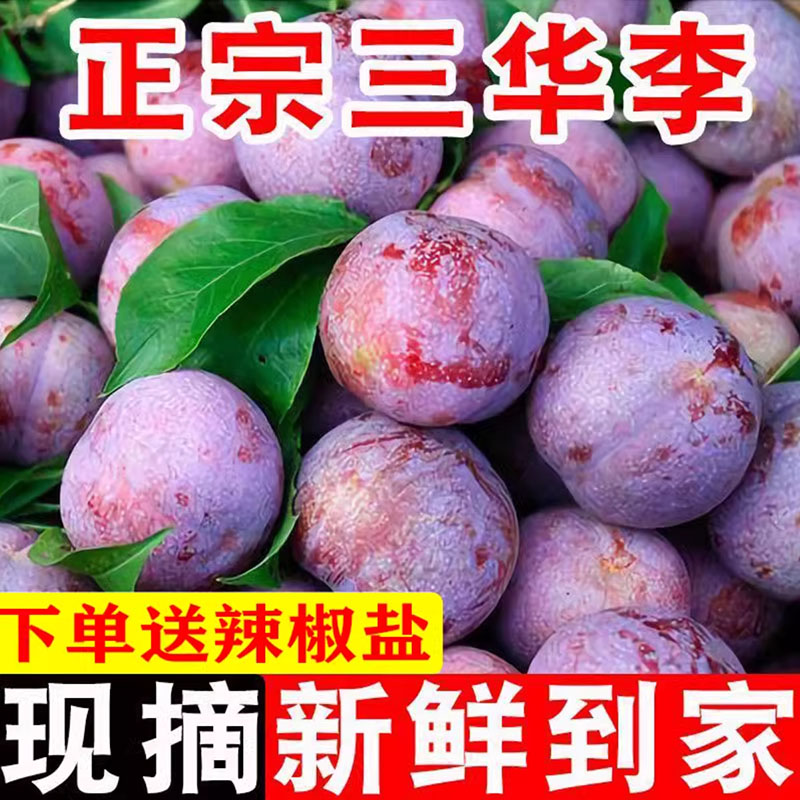 三华李子新鲜5斤现货酸脆红心李子时令水果当季现摘大果整箱包邮3
