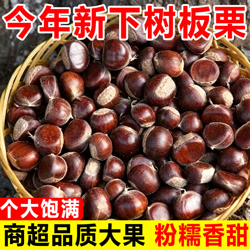 新鲜油板栗粉糯好去皮