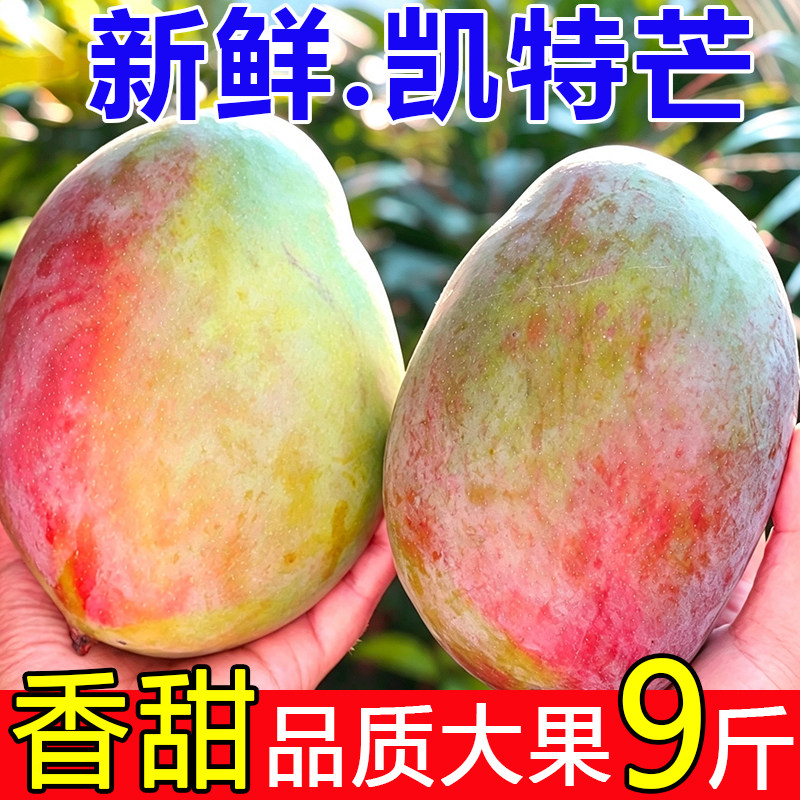 特大果 四川攀枝花凯特芒果10斤新鲜水果青皮大当季热带整箱包邮9