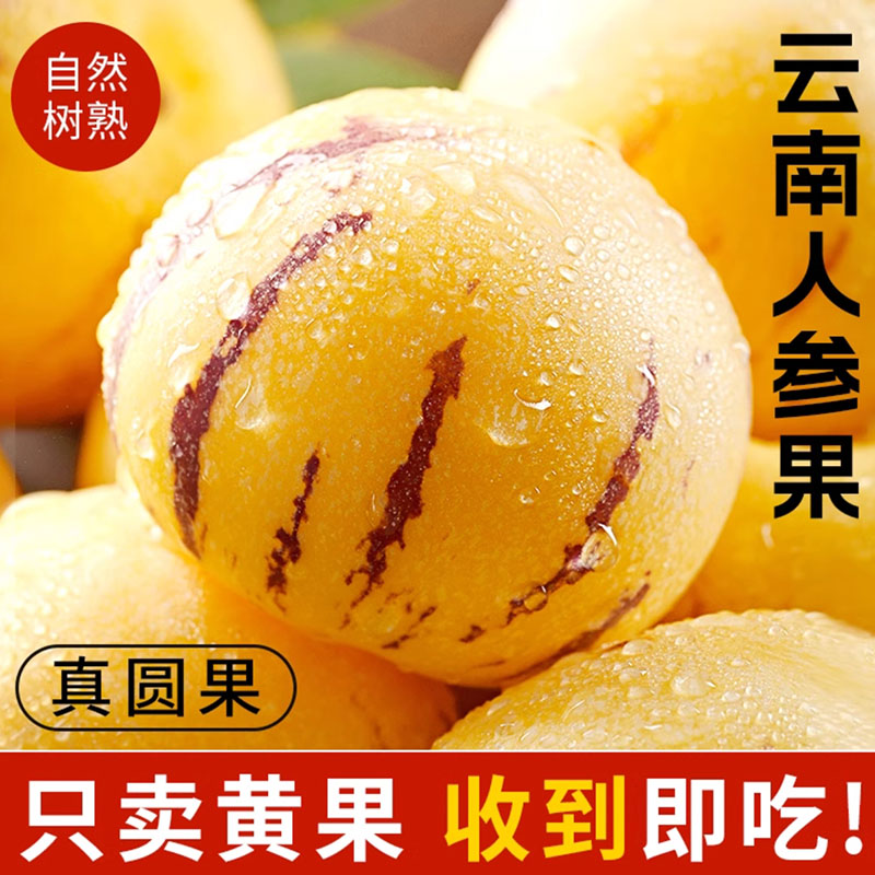 云南石林树上熟人参果