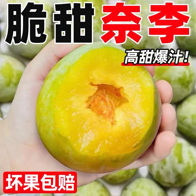 广西脆甜奈李 新鲜油奈水果脱骨桃形李子5斤包邮非黄金蜂糖李
