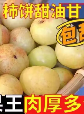 潮汕柿饼甜油甘果新鲜余甘果甜种油柑牛甘子滇橄榄榨汁酸水果