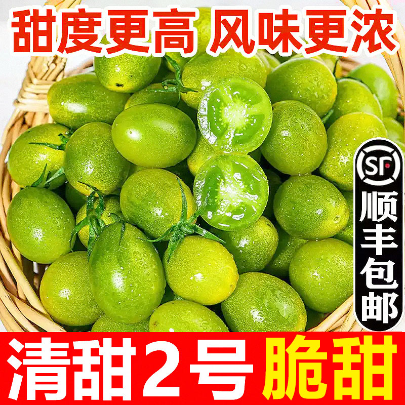 青甜2号小番茄孕妇新鲜水果绿宝石青口蜜千禧柿子青霞圣女果顺丰