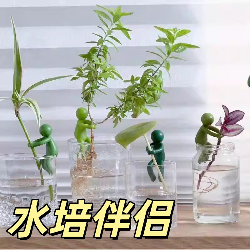 塑料水培植物挂件DIY园艺装饰