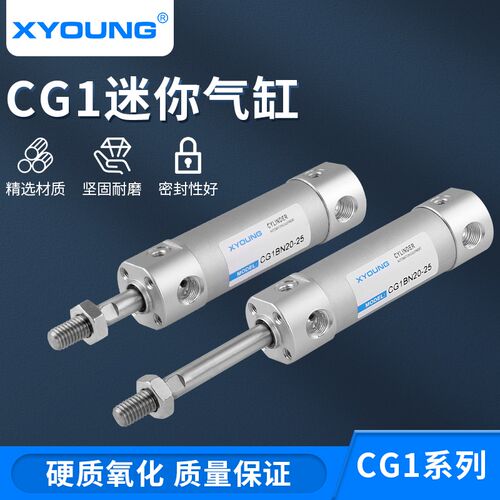XYOUNG气动铝合金迷你气缸CDG1BN32-75带磁轻型气缸CDG1BN32-100