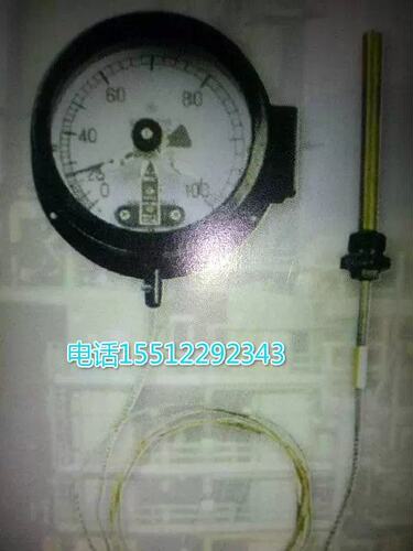 WTZ-288压力式温度计 线5米线