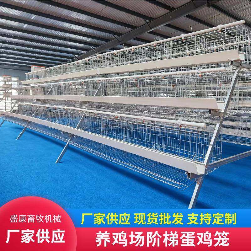多层叠阶梯立式接溜滑产蛋养殖场蛋鸡笼子镀锌家禽养鸡蛋鸡笼子,农机/农具/农膜,农用防护器具,淘宝优惠券,粉丝福利购,淘宝优惠卷