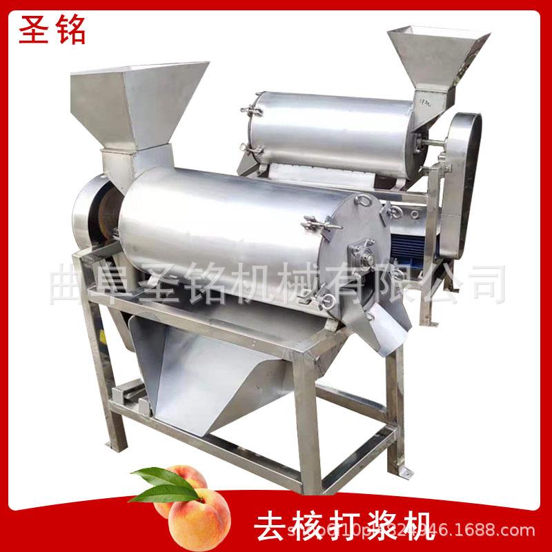枇杷去核打浆机 枇杷膏制作打浆设备 杨梅果核分离打浆机价优