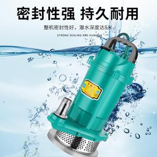 家用2潜泵高扬程水农用抽水机清水泵污VQDX水泵小型灌溉泵20抽水