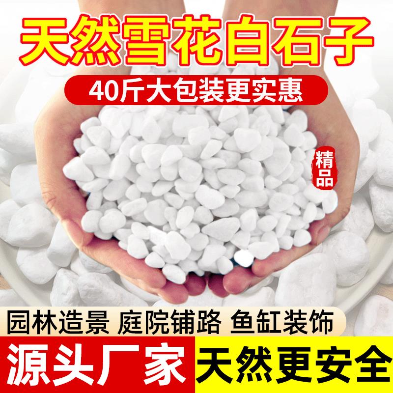 40斤装白色石子石头大鹅卵石庭院铺路铺地小白石头造景景观白石子