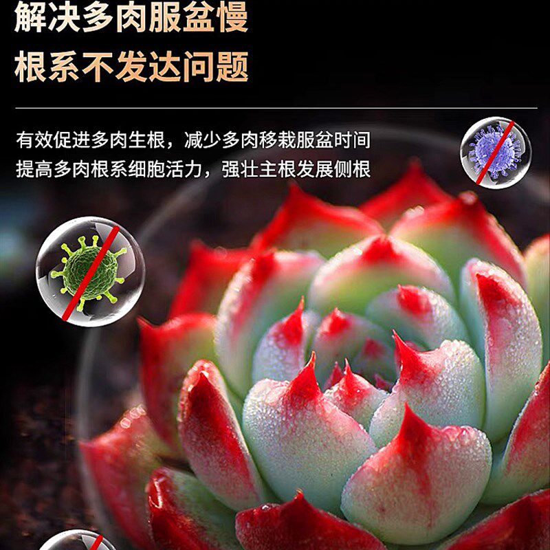 多肉专用生根粉多灵菌药水复活液扦插育苗神器快速壮苗剂植物通用