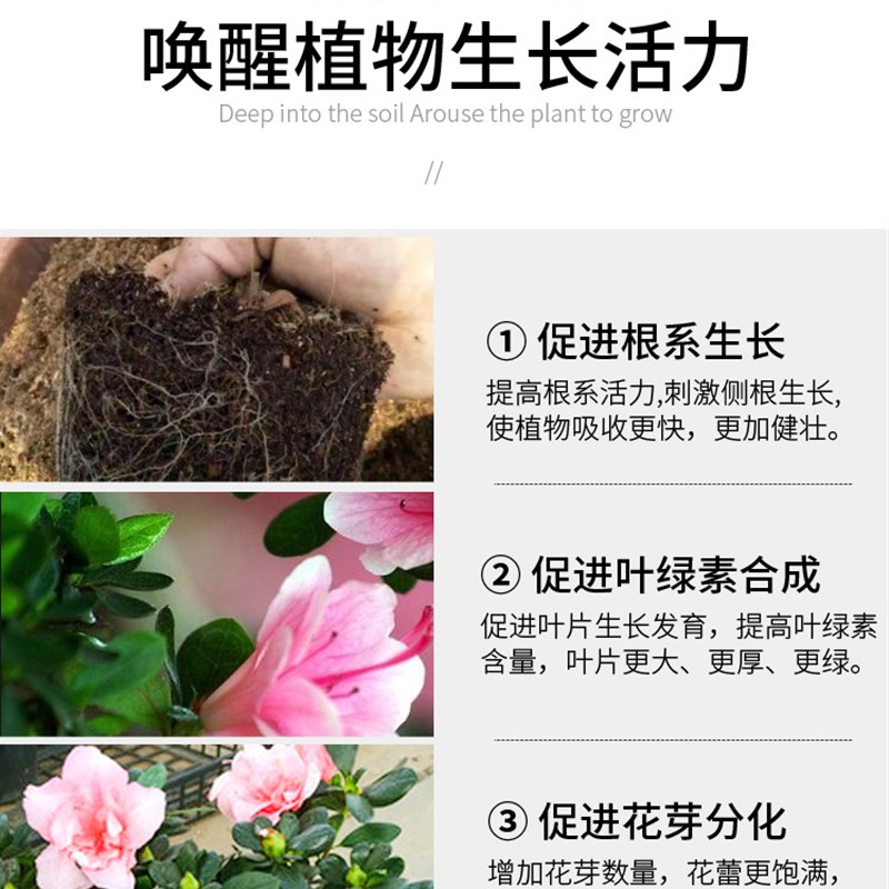 杜鹃花专用肥花肥家用盆栽通用型复合肥缓释肥颗粒杜鹃花肥料专用