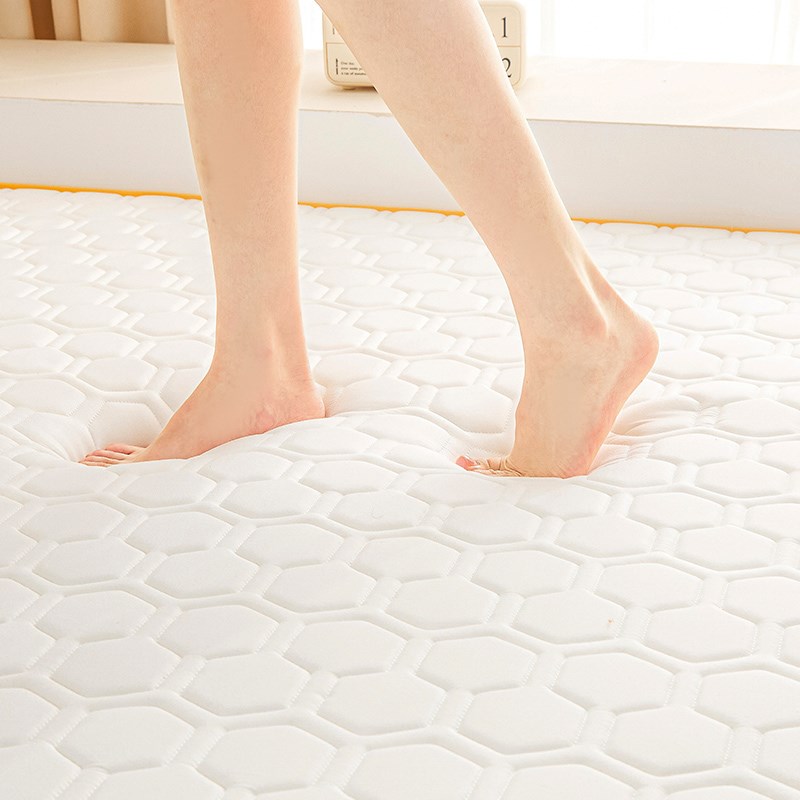 定制高密度榻榻米乳胶记忆棉床垫家用回弹海绵炕褥学生宿舍软垫子