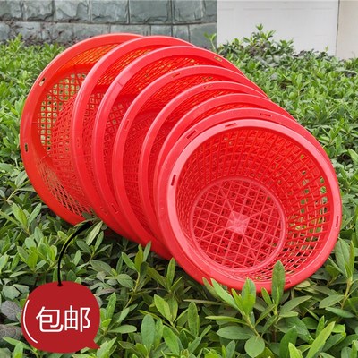 包邮圆形手提草莓水果园采摘蔬菜篮子塑料一次性杨梅桑葚鸡蛋枇杷