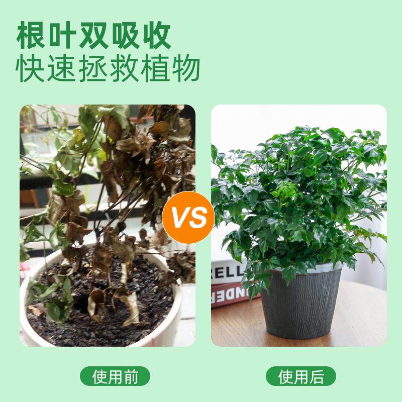 幸福树专用植物营养液肥料专用肥治落叶掉叶黄叶室内绿植养花花肥
