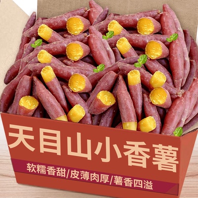 现挖临安天目山小香薯|商超精品