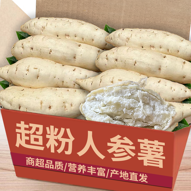 【人参薯】现挖现发天猫热购