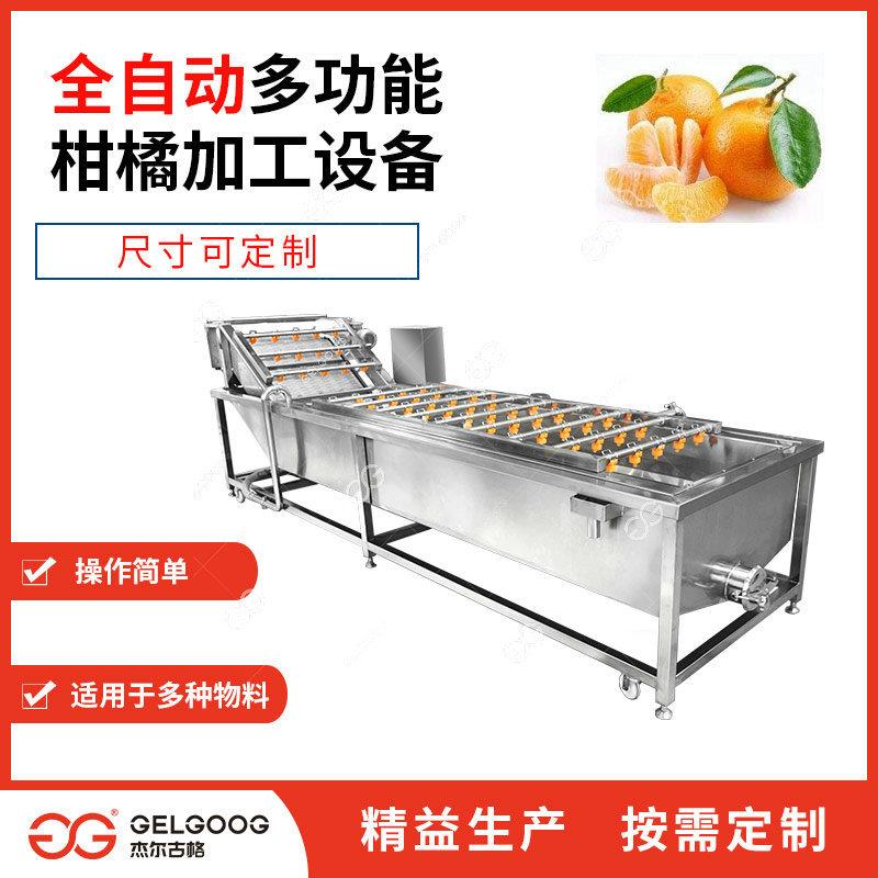 全自动洗柑橘设备橘子砂糖橘气泡清洗风干洗果线机械桔子清洗机