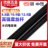 12.9级全螺纹牙条通丝杆全牙螺杆M6M8M10 高强度丝杆8.8 10.9 M64
