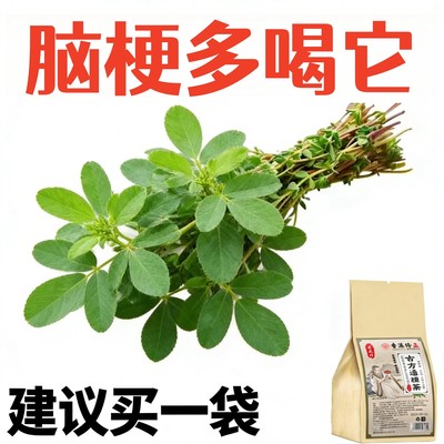 血管堵塞狭窄疏通软化血液血栓溶解胆固用脑梗疏心茶