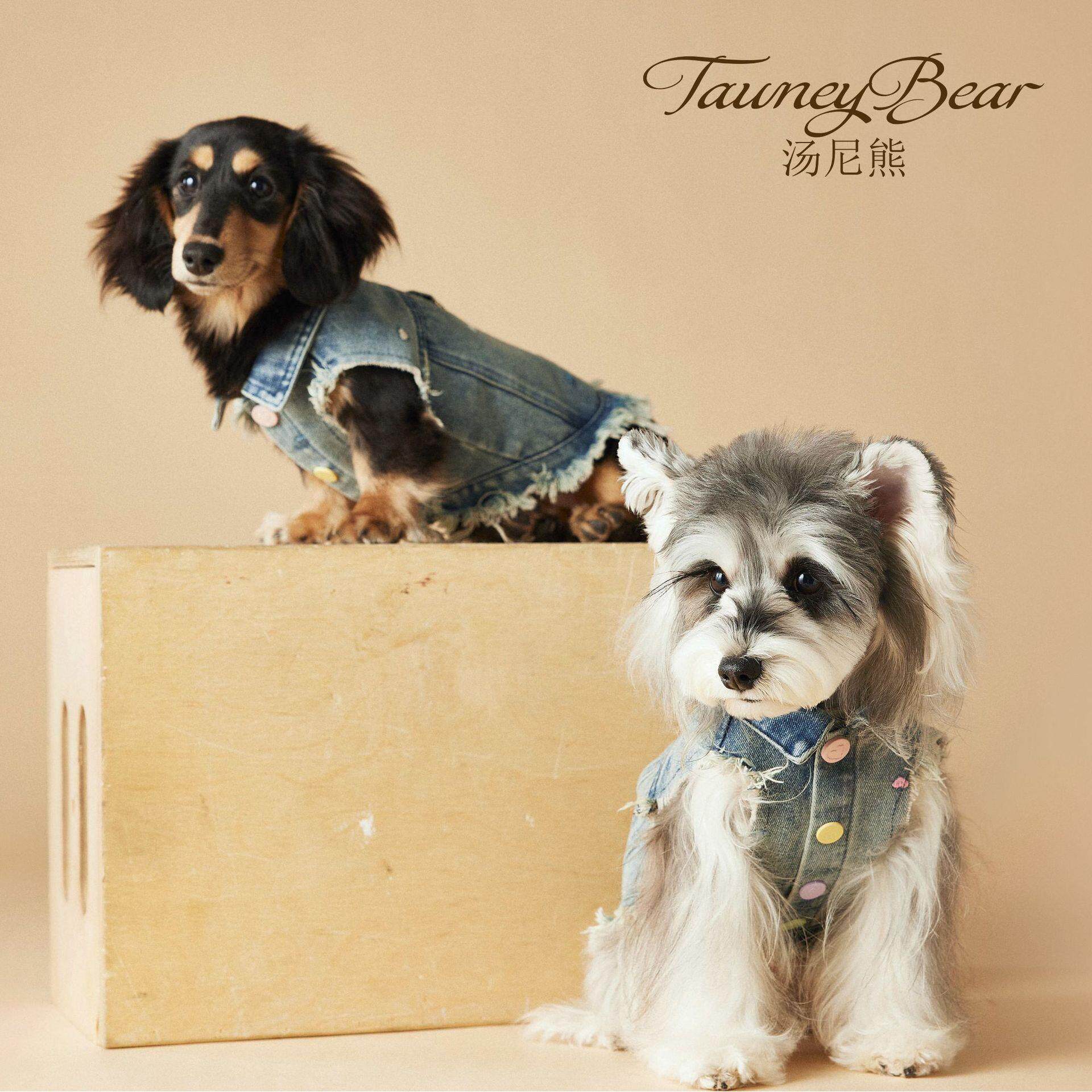 汤尼熊狗狗衣服春夏绣花毛边牛仔马甲马尔济斯雪纳瑞泰迪无袖背心