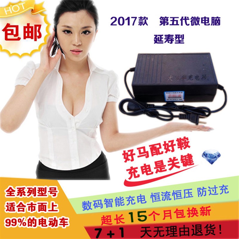 电动车电瓶车充电器36Vl48V60V64V72V80V96V12AH20AH30AH40AH包邮