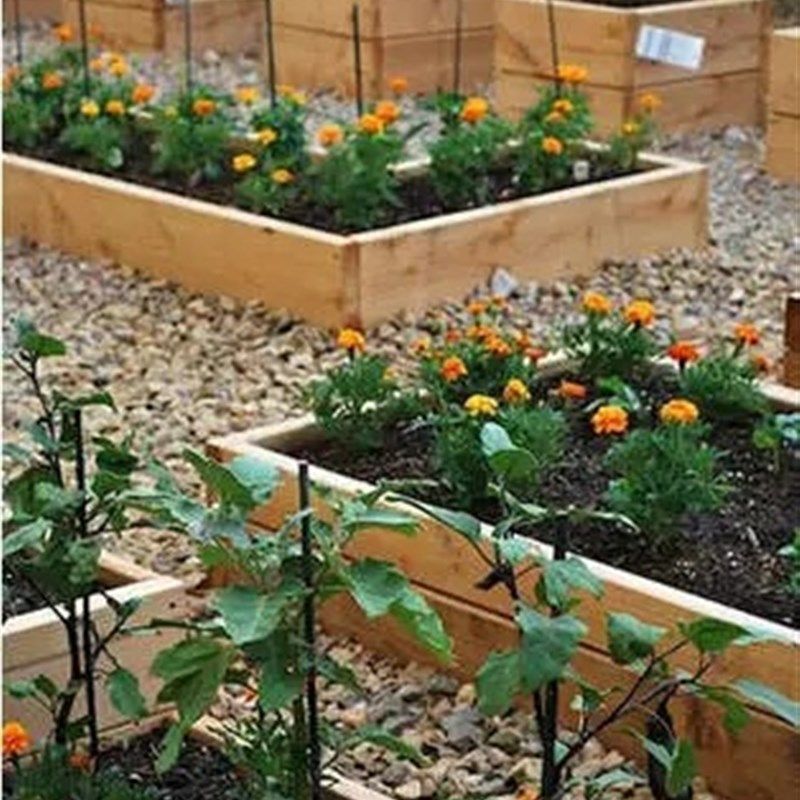 户外防腐木花箱组合长方形工程碳化实木花盆种植箱阳台种菜盆大号,鲜花速递/花卉仿真/绿植园艺,园艺种植花箱/花槽,淘宝优惠券,粉丝福利购,淘宝优惠卷