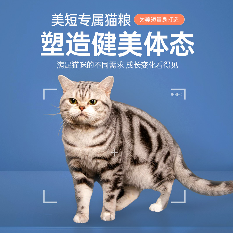 仙粮驾到美短专用全价猫粮成猫幼猫增肥发腮美毛冻干猫粮4斤