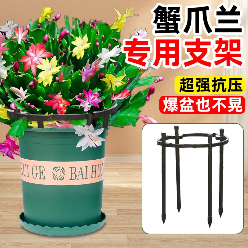 蟹爪兰专用支架花支撑杆绿植物防倒伏固定架小花卉盆栽园艺花架子