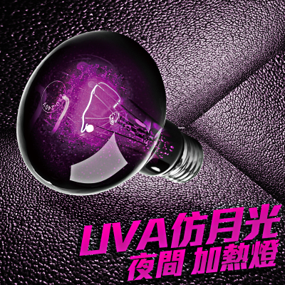 UVA夜灯加热灯变色龙蜥蜴蛇保温爬虫爬宠缸陆龟箱保温夜光月光灯