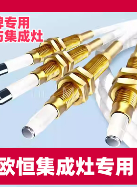 适用欧恒集成灶点火针感应针热电偶帅丰集成灶通用配件然气液化气