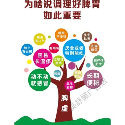 为啥说脾胃调理的如此重要做脾胃海报广告美容院养生馆装饰画贴纸