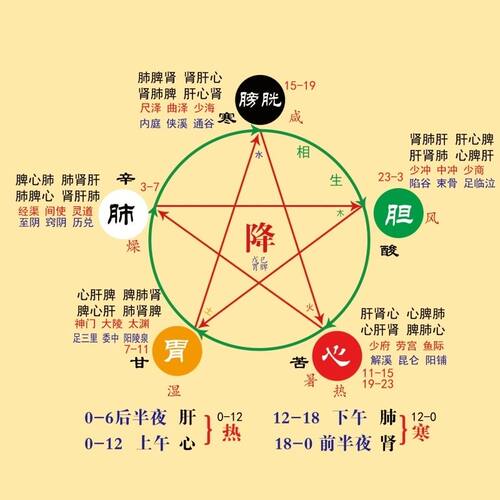 五行八卦图金木水火土五行图五行相生相克图海报展板墙贴墙纸04