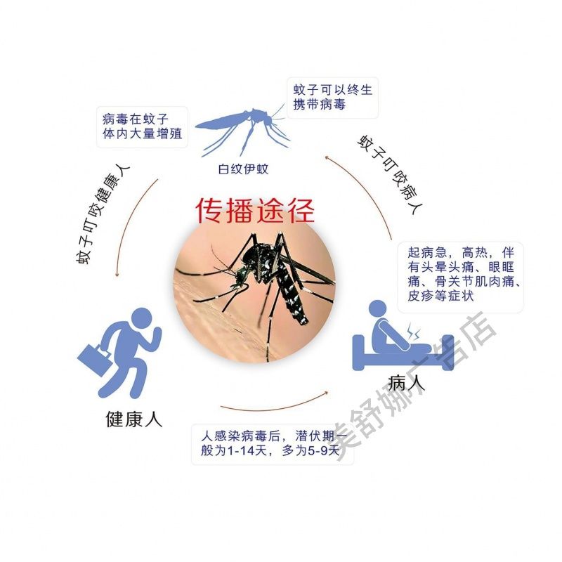 预防伊蚊传播引起的登革热健康教育宣传栏墙贴纸挂图海报印制kt板