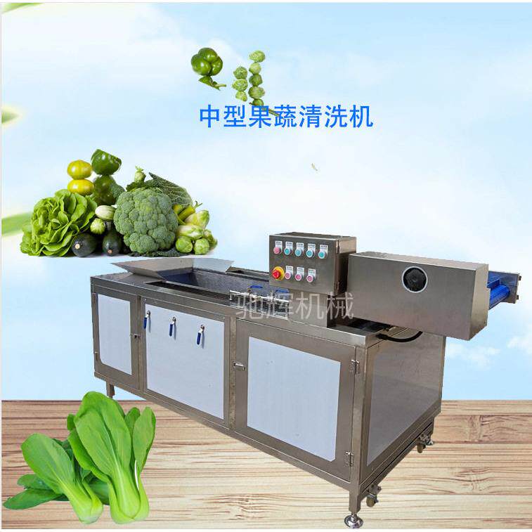 连续式自动洗菜机多功能蔬菜清洗机无损式洗生菜油菜机